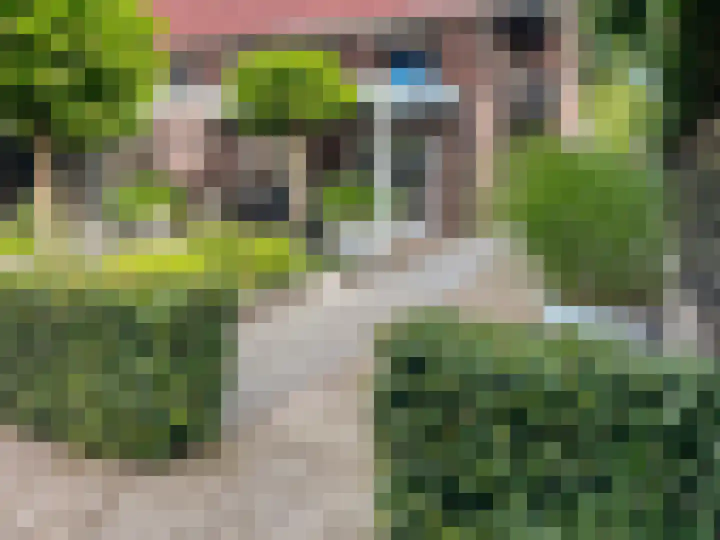 Rijnstraat 13 Eindhoven thumbnail 46