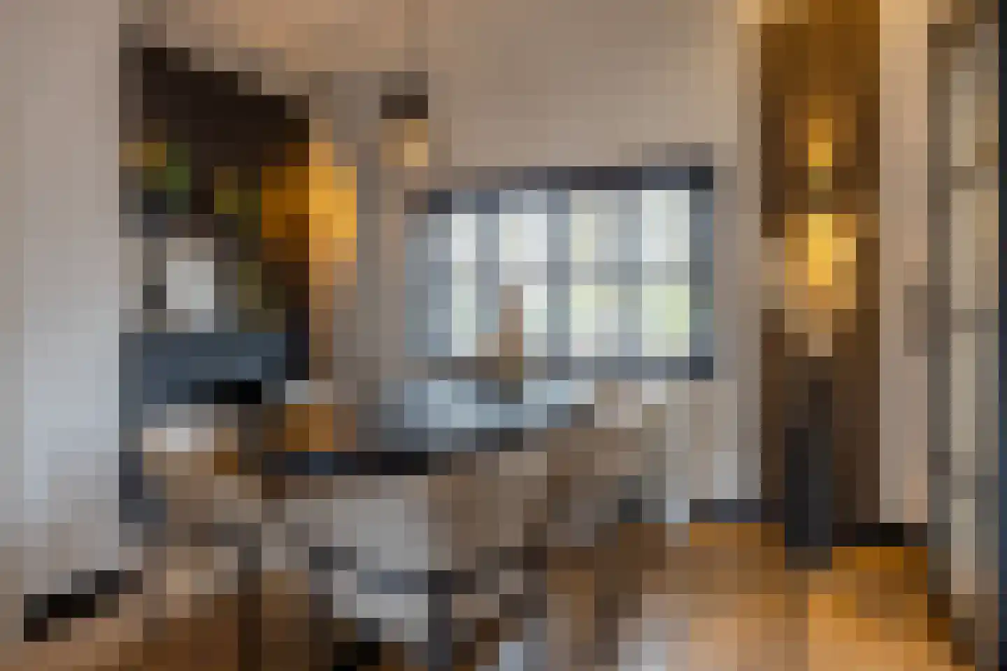 Rijnstraat 13 Eindhoven thumbnail 5