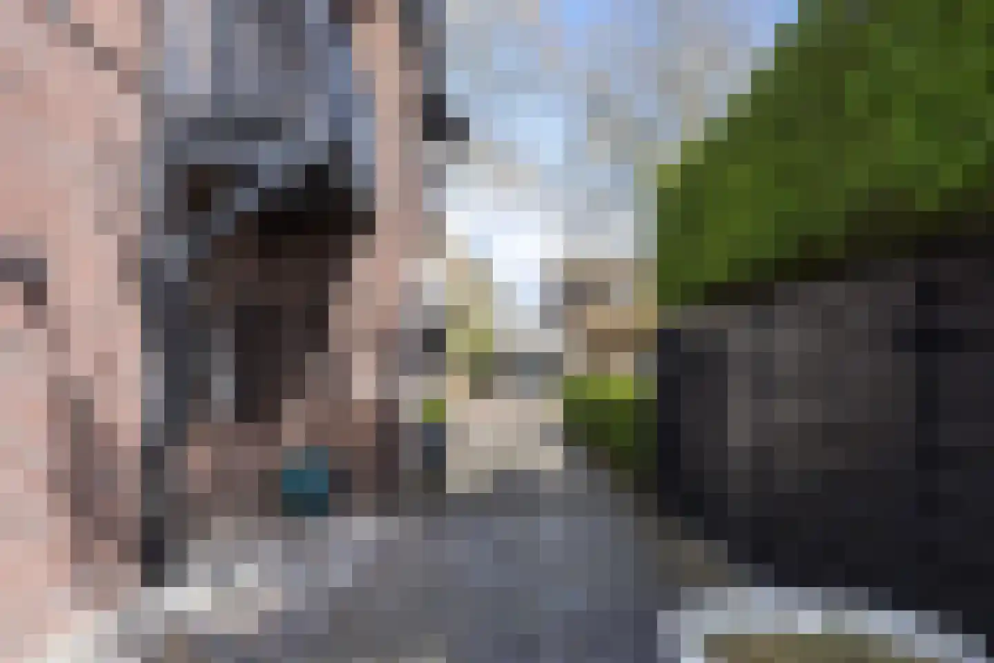 Rijnstraat 13 Eindhoven thumbnail 54