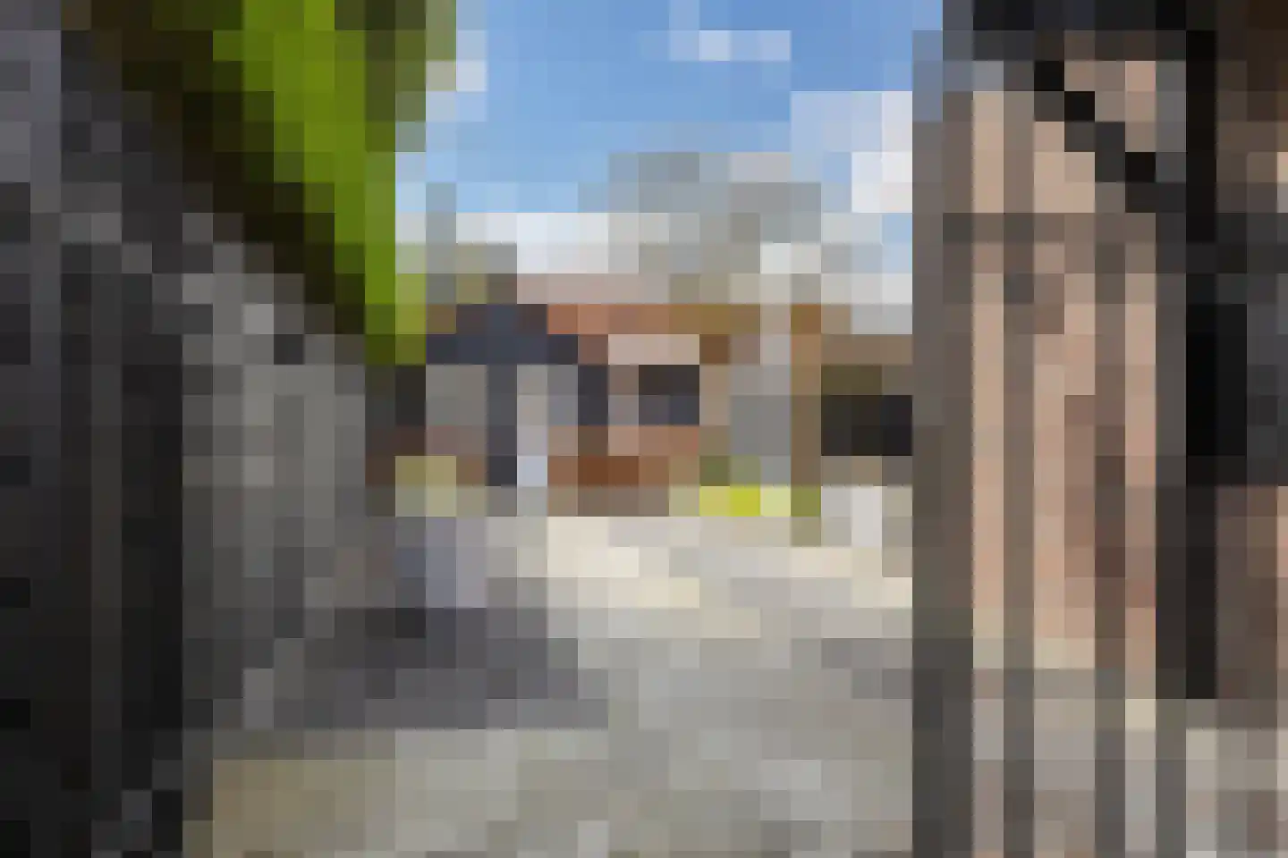 Rijnstraat 13 Eindhoven thumbnail 56