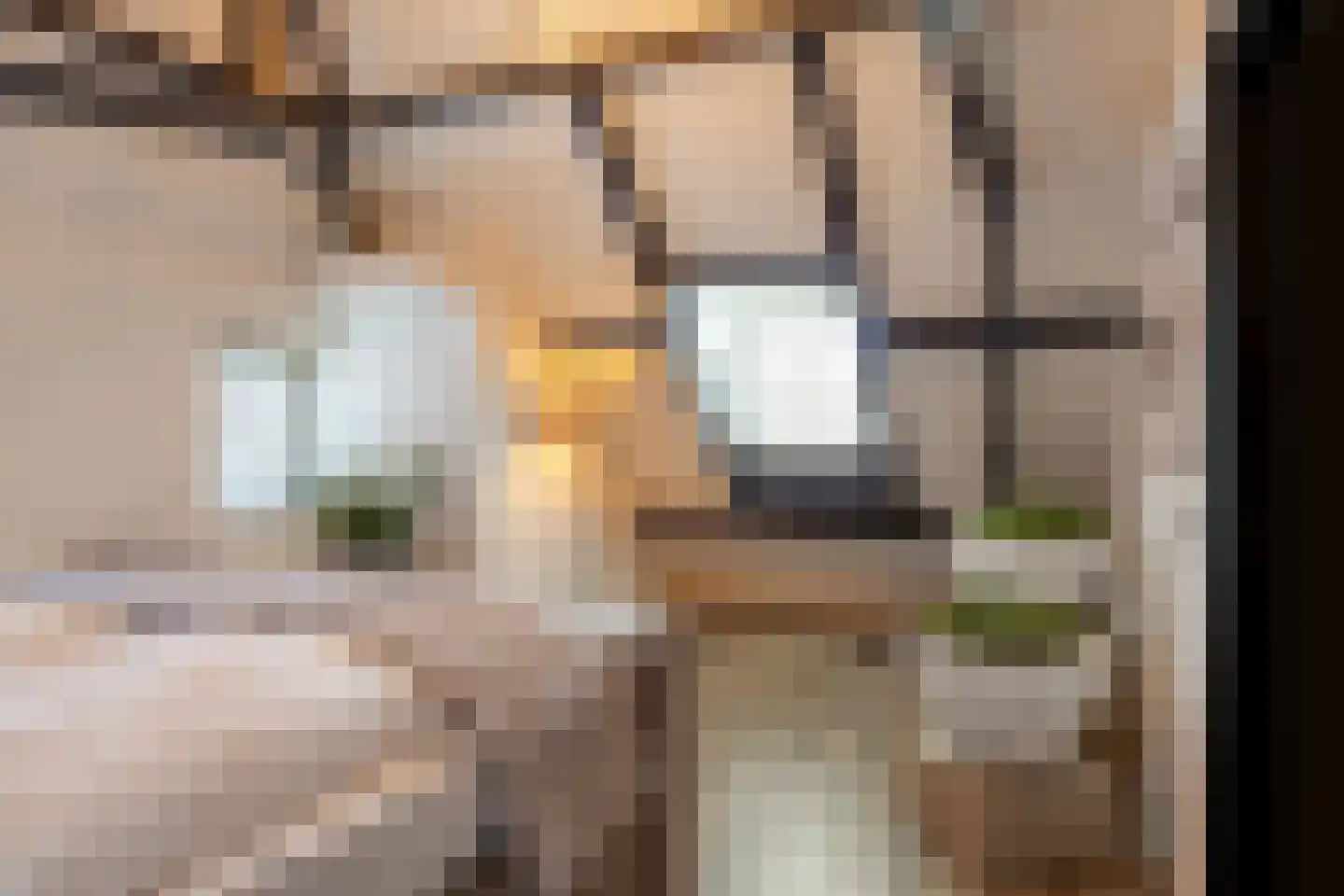 Rijnstraat 13 Eindhoven thumbnail 6