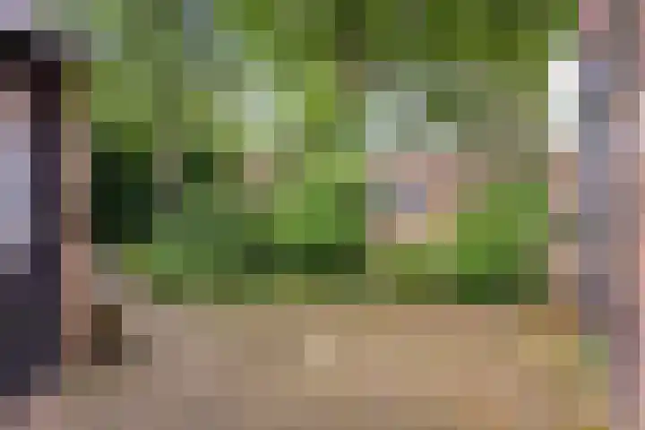 Rijnstraat 139 Den Helder thumbnail 19