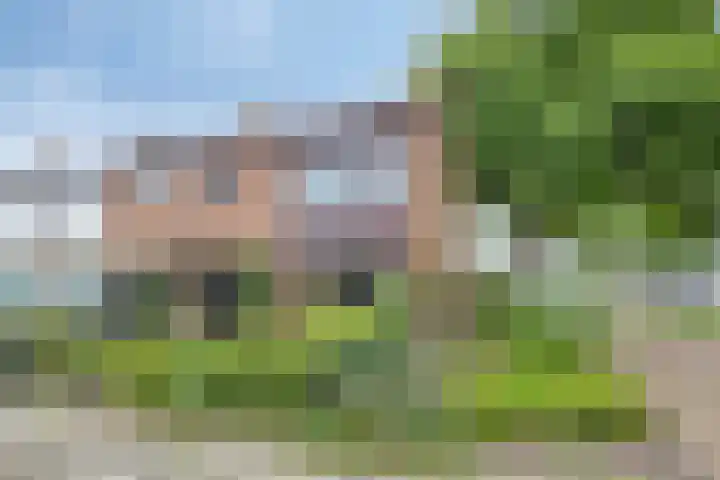 Rijnstraat 139 Den Helder thumbnail 32