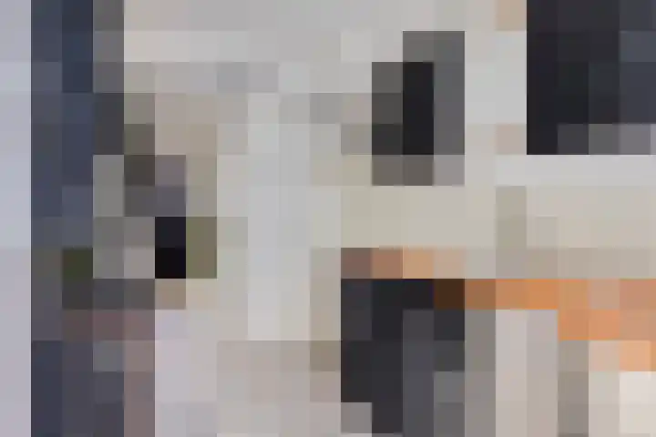 Rijnstraat 139 Den Helder thumbnail 8