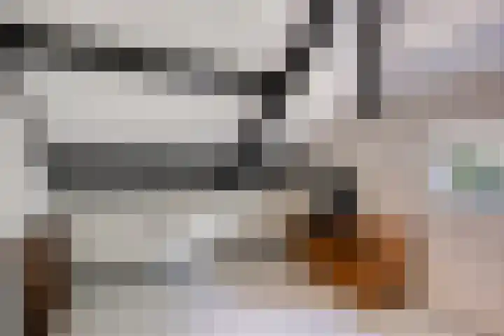 Rijnstraat 14 Heerlen thumbnail 16