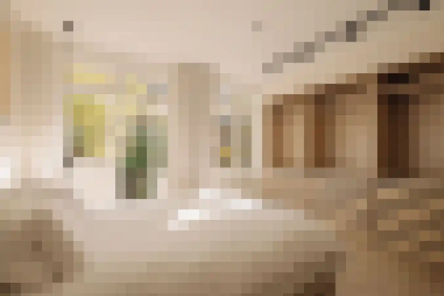 Rijnstraat 15 1 Amsterdam thumbnail 14