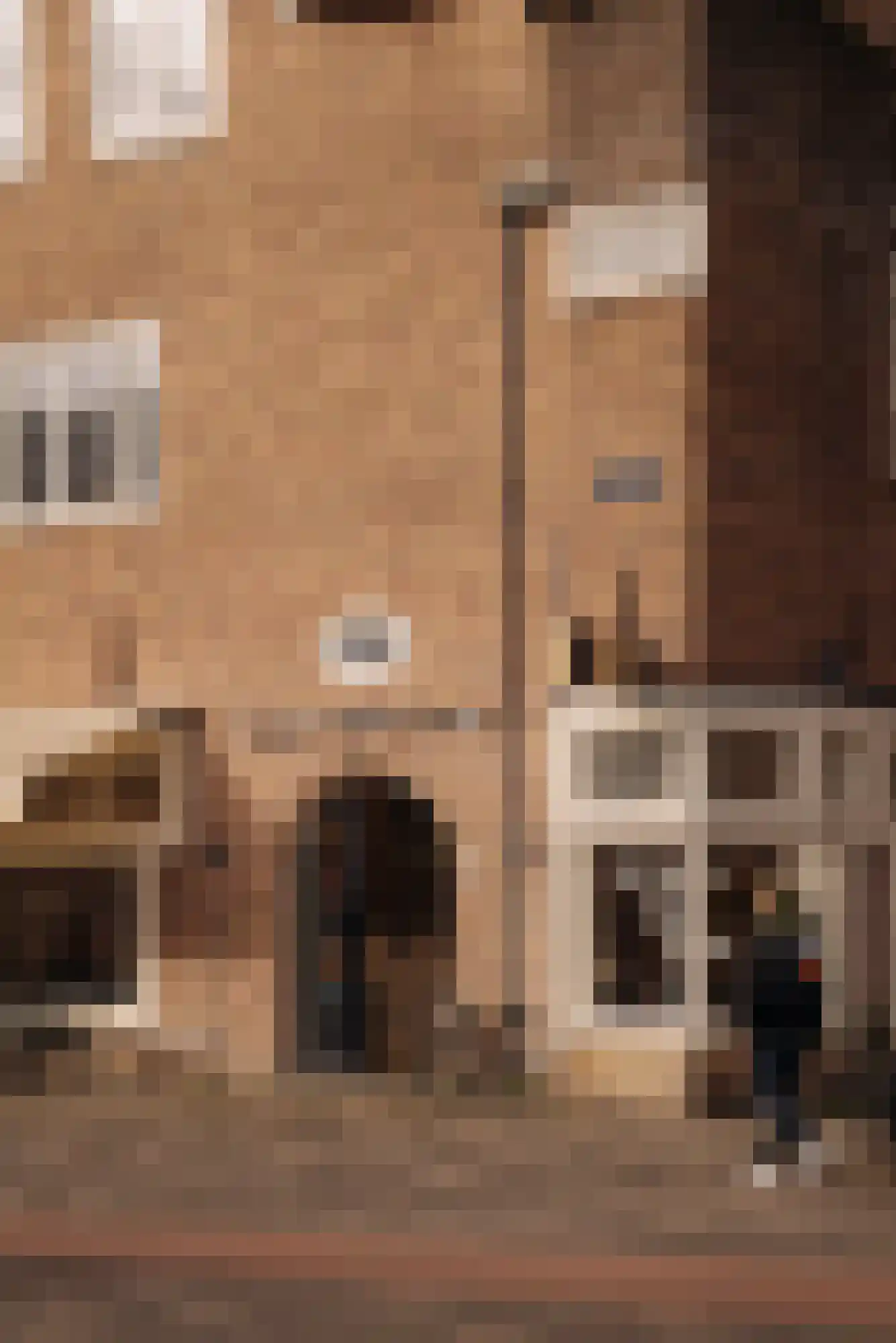 Rijnstraat 15 1 Amsterdam thumbnail 25