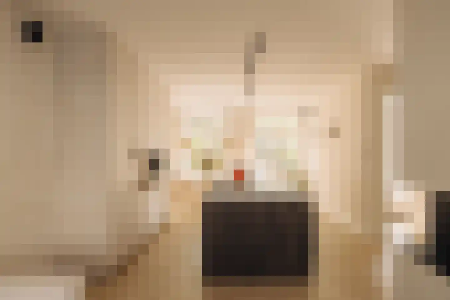 Rijnstraat 15 1 Amsterdam thumbnail 5