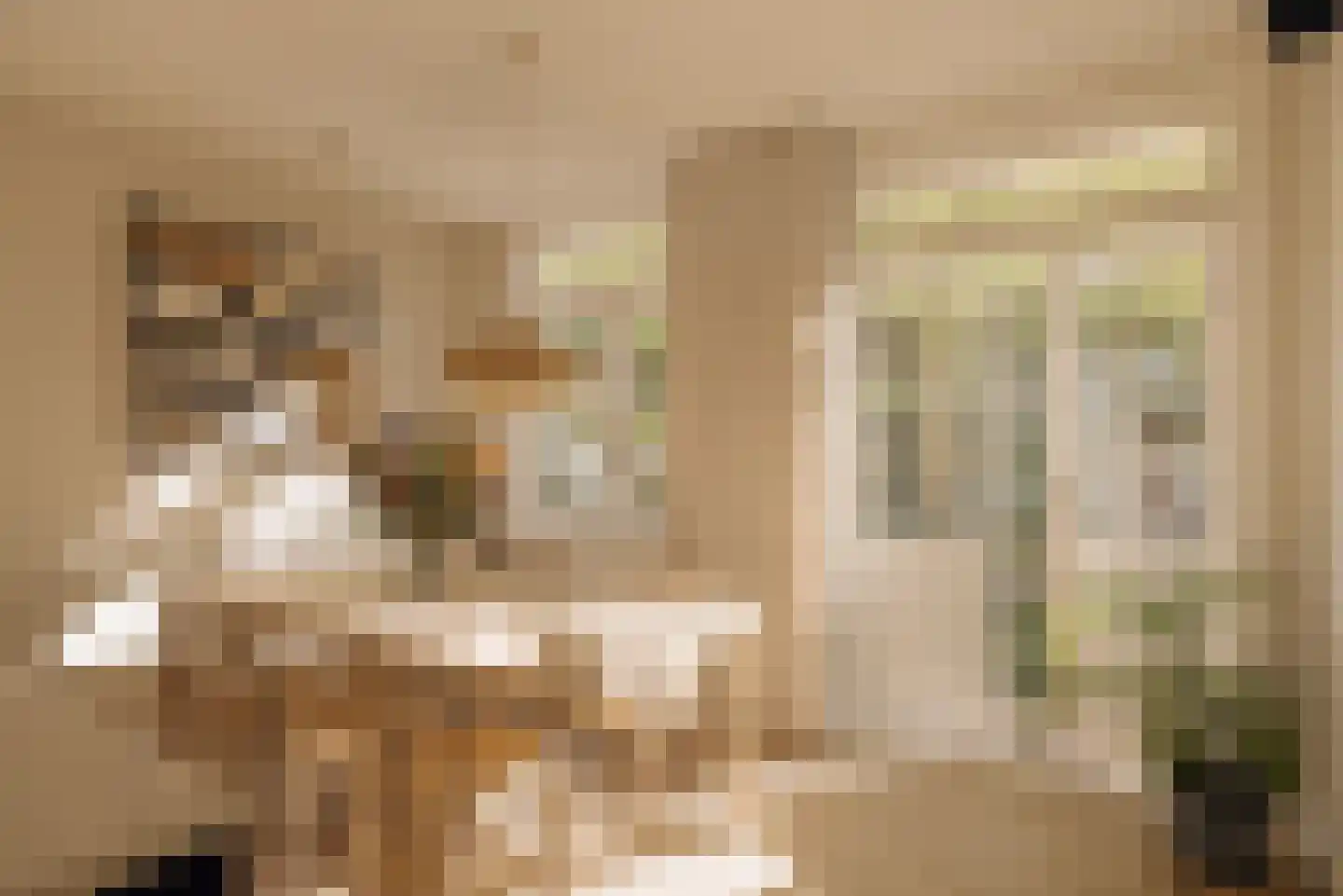 Rijnstraat 15 1 Amsterdam thumbnail 8