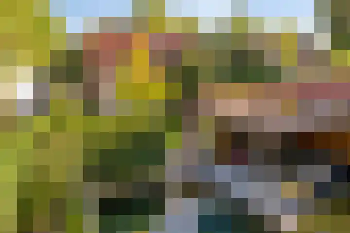 Rijnstraat 15 Eindhoven thumbnail 10