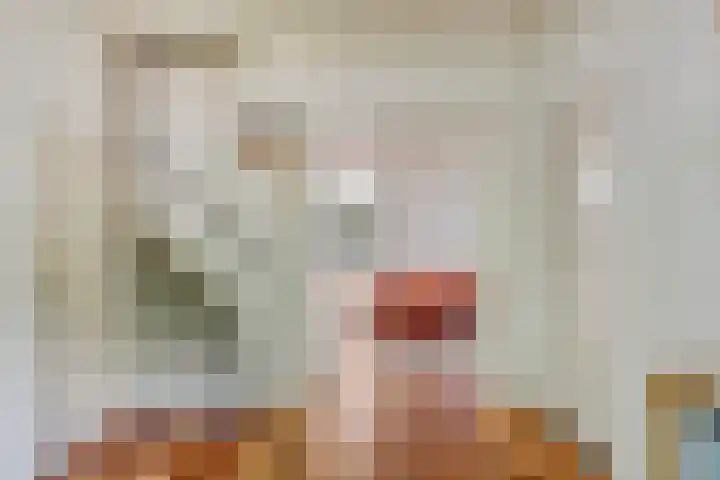 Rijnstraat 15 Eindhoven thumbnail 12