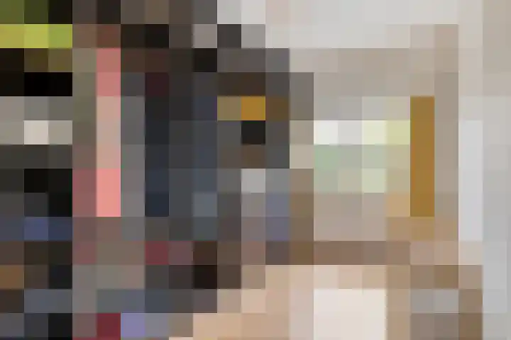 Rijnstraat 15 Eindhoven thumbnail 13