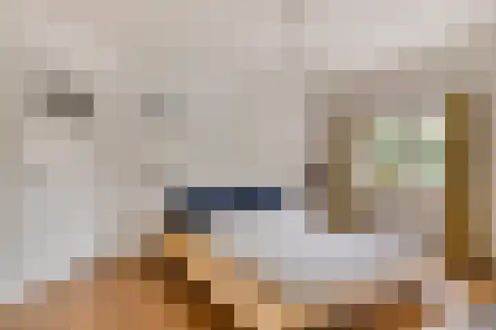 Rijnstraat 15 Eindhoven thumbnail 17