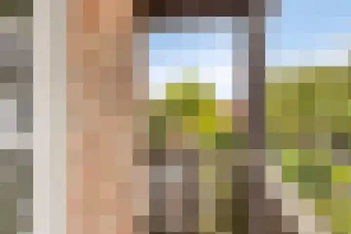 Rijnstraat 15 Eindhoven thumbnail 18