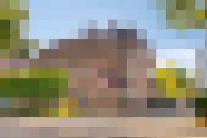 Rijnstraat 15 Eindhoven thumbnail 20