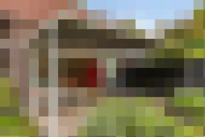Rijnstraat 15 Eindhoven thumbnail 23