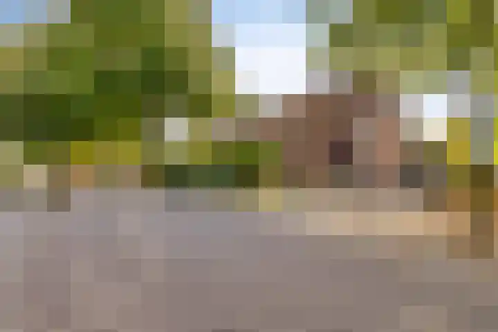 Rijnstraat 15 Eindhoven thumbnail 27