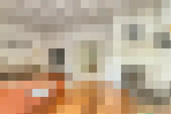 Rijnstraat 15 Eindhoven thumbnail 6