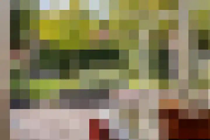 Rijnstraat 15 Eindhoven thumbnail 9