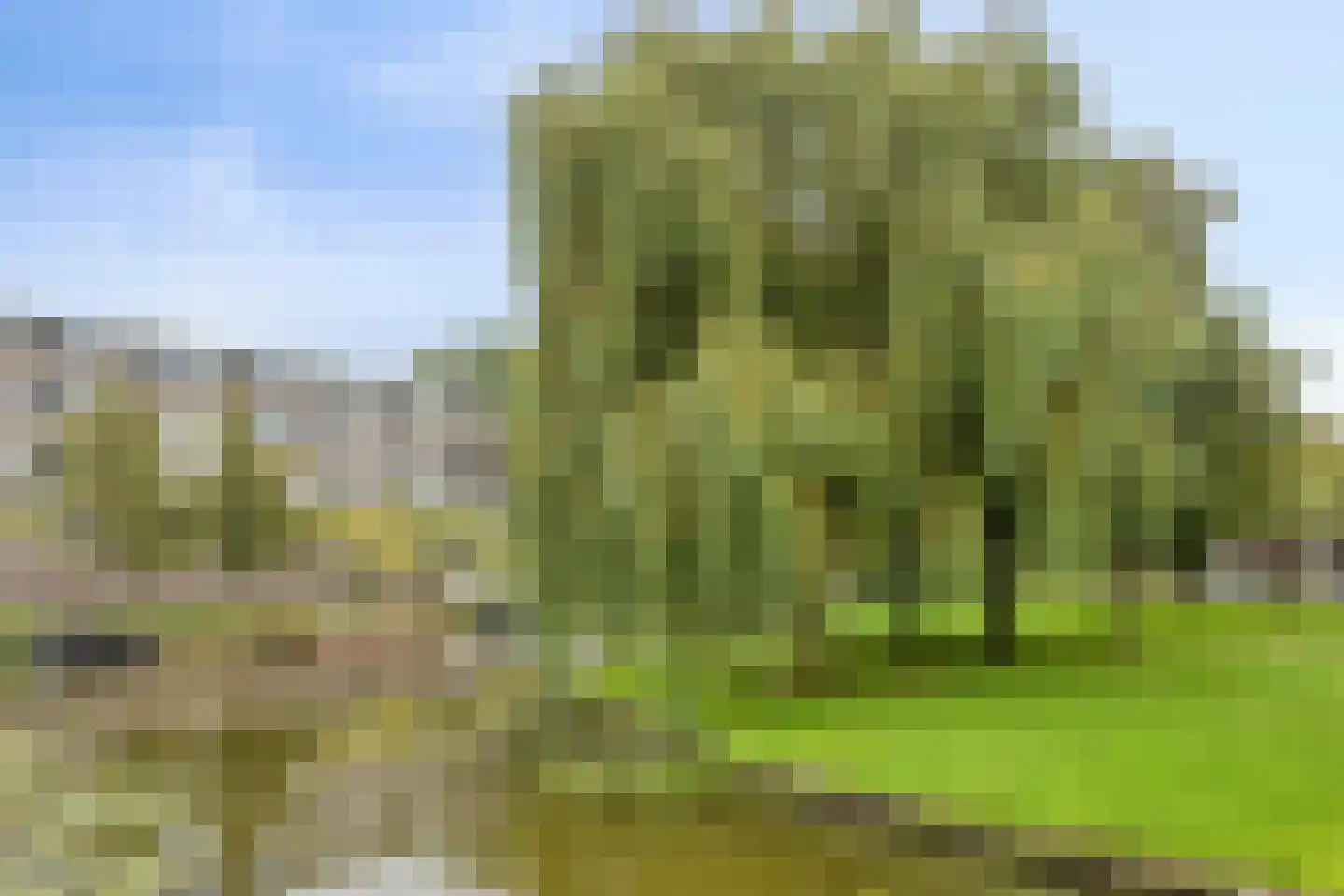 Rijnstraat 15 Katwijk thumbnail 27
