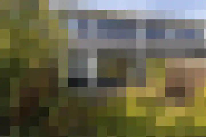 Rijnstraat 15 Winschoten thumbnail 12