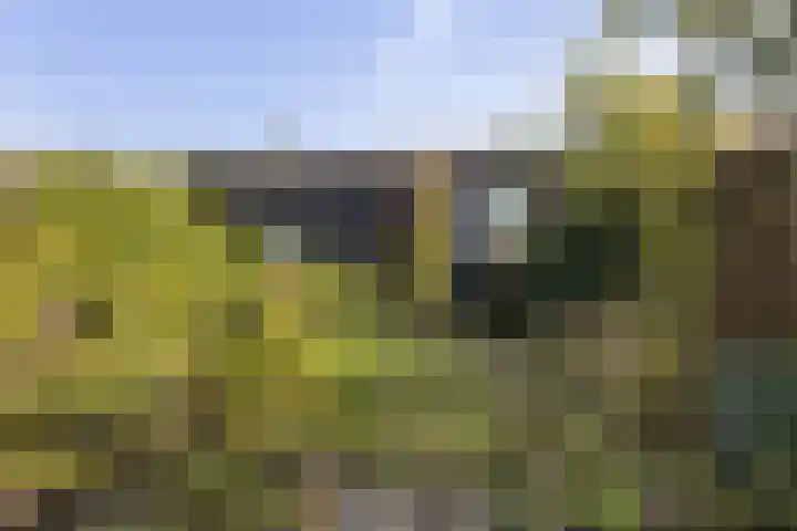 Rijnstraat 15 Winschoten thumbnail 13