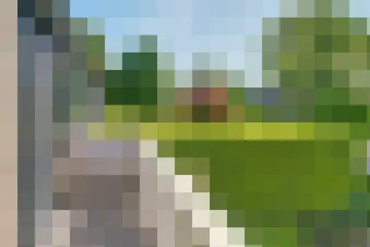 Rijnstraat 16 Driel thumbnail 10