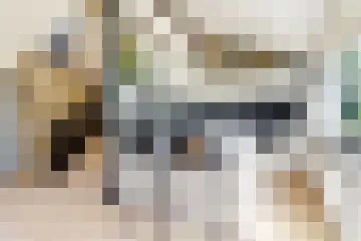 Rijnstraat 16 Driel thumbnail 14
