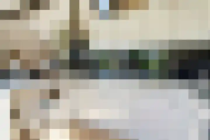 Rijnstraat 16 Driel thumbnail 16
