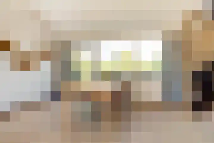 Rijnstraat 16 Driel thumbnail 17