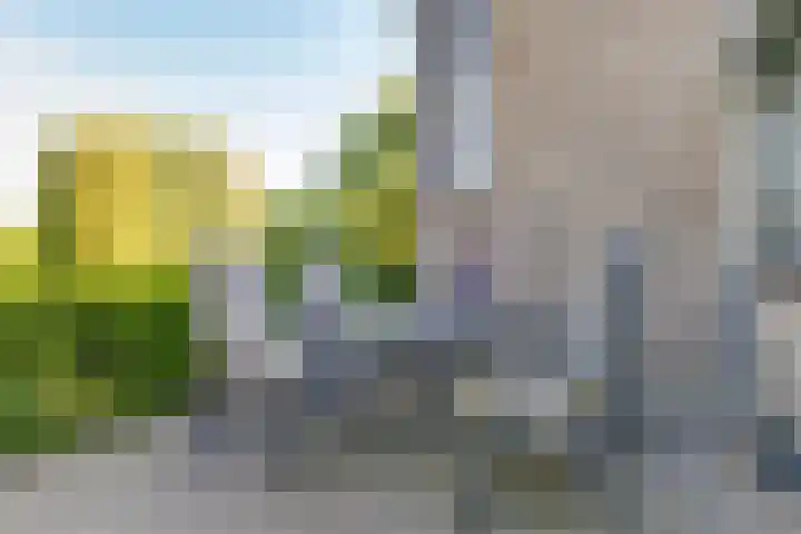 Rijnstraat 16 Driel thumbnail 18