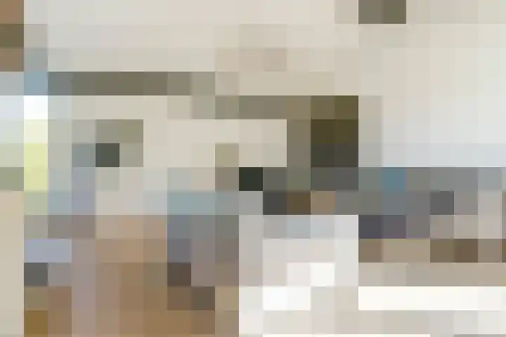 Rijnstraat 16 Driel thumbnail 20