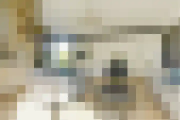 Rijnstraat 16 Driel thumbnail 21