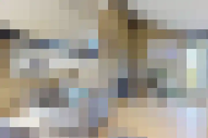 Rijnstraat 16 Driel thumbnail 22