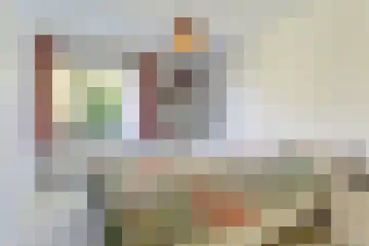 Rijnstraat 16 Driel thumbnail 26