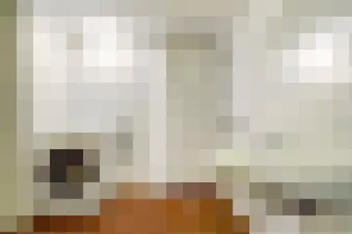 Rijnstraat 16 Driel thumbnail 31