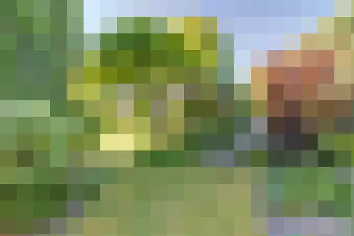 Rijnstraat 16 Driel thumbnail 4