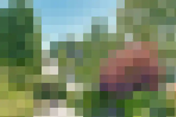 Rijnstraat 16 Driel thumbnail 5