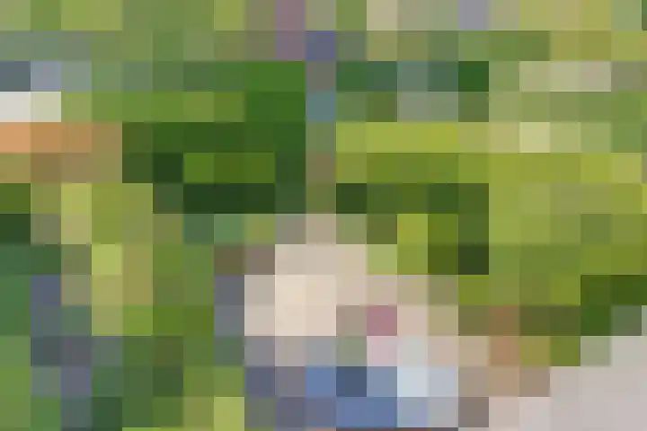 Rijnstraat 16 Driel thumbnail 6