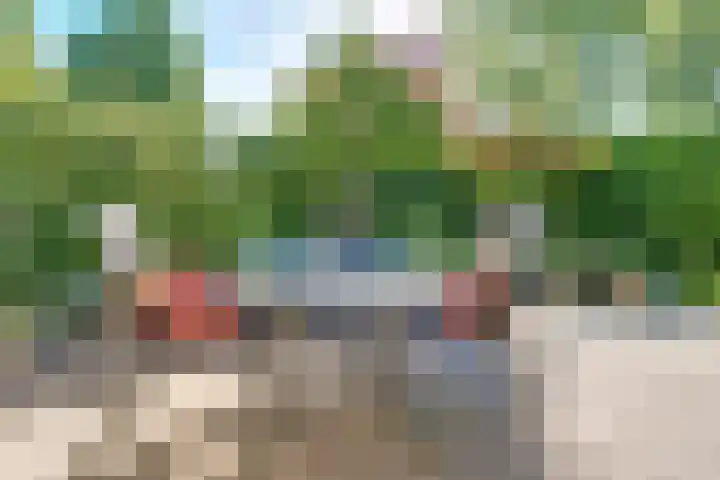 Rijnstraat 16 Driel thumbnail 7