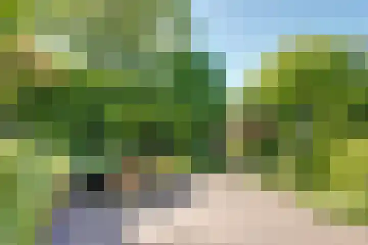 Rijnstraat 16 Driel thumbnail 8