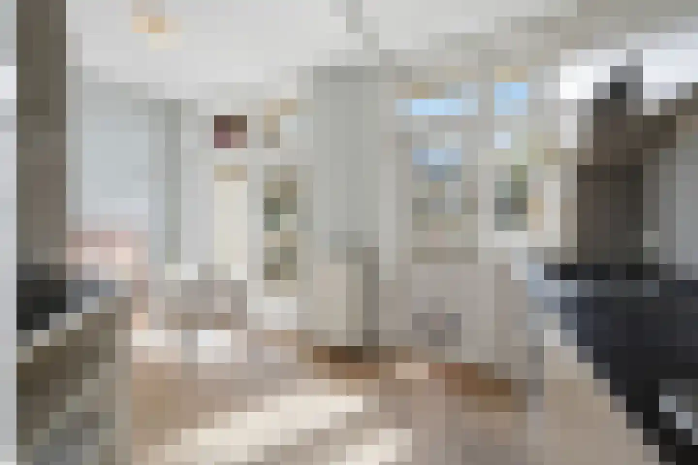 Rijnstraat 161 2 Amsterdam thumbnail 10