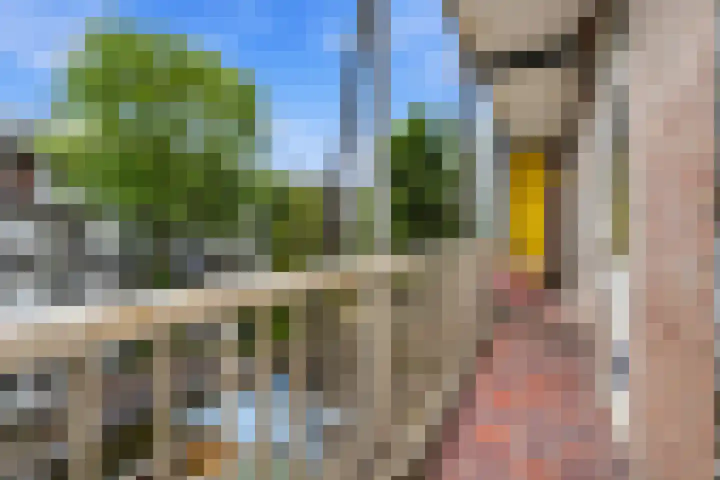 Rijnstraat 161 2 Amsterdam thumbnail 6