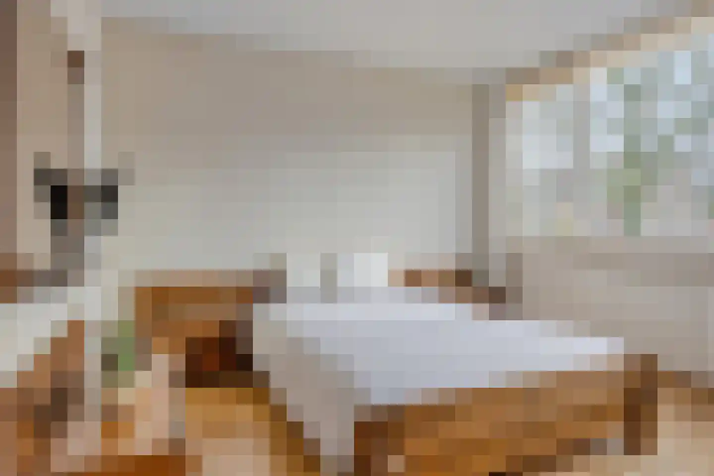 Rijnstraat 18 Dongen thumbnail 17