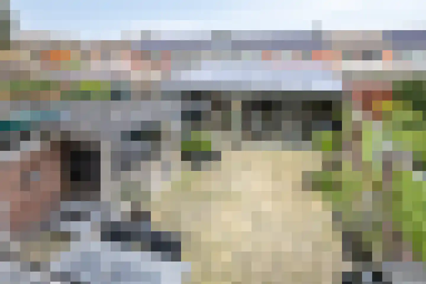 Rijnstraat 18 Dongen thumbnail 33