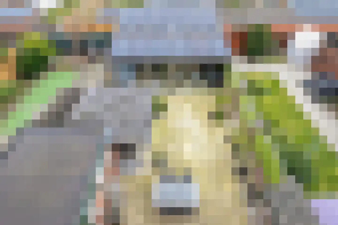 Rijnstraat 18 Dongen thumbnail 34
