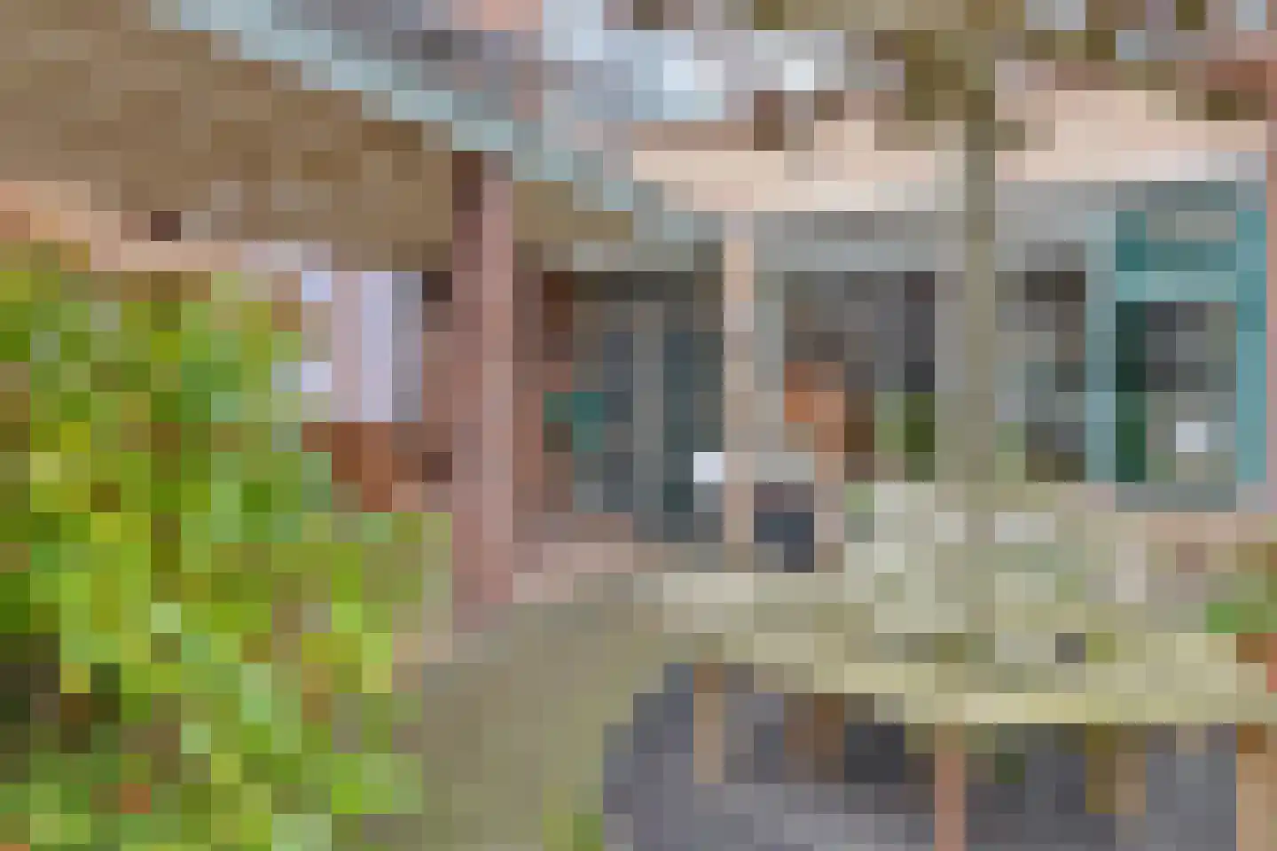 Rijnstraat 18 Dongen thumbnail 41