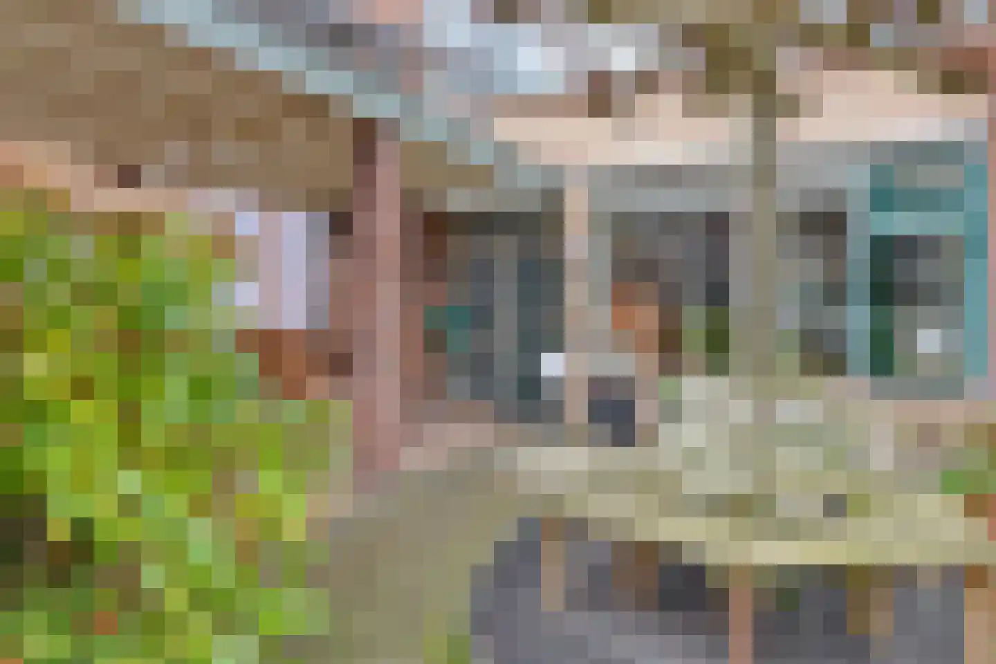 Rijnstraat 18 Dongen thumbnail 41