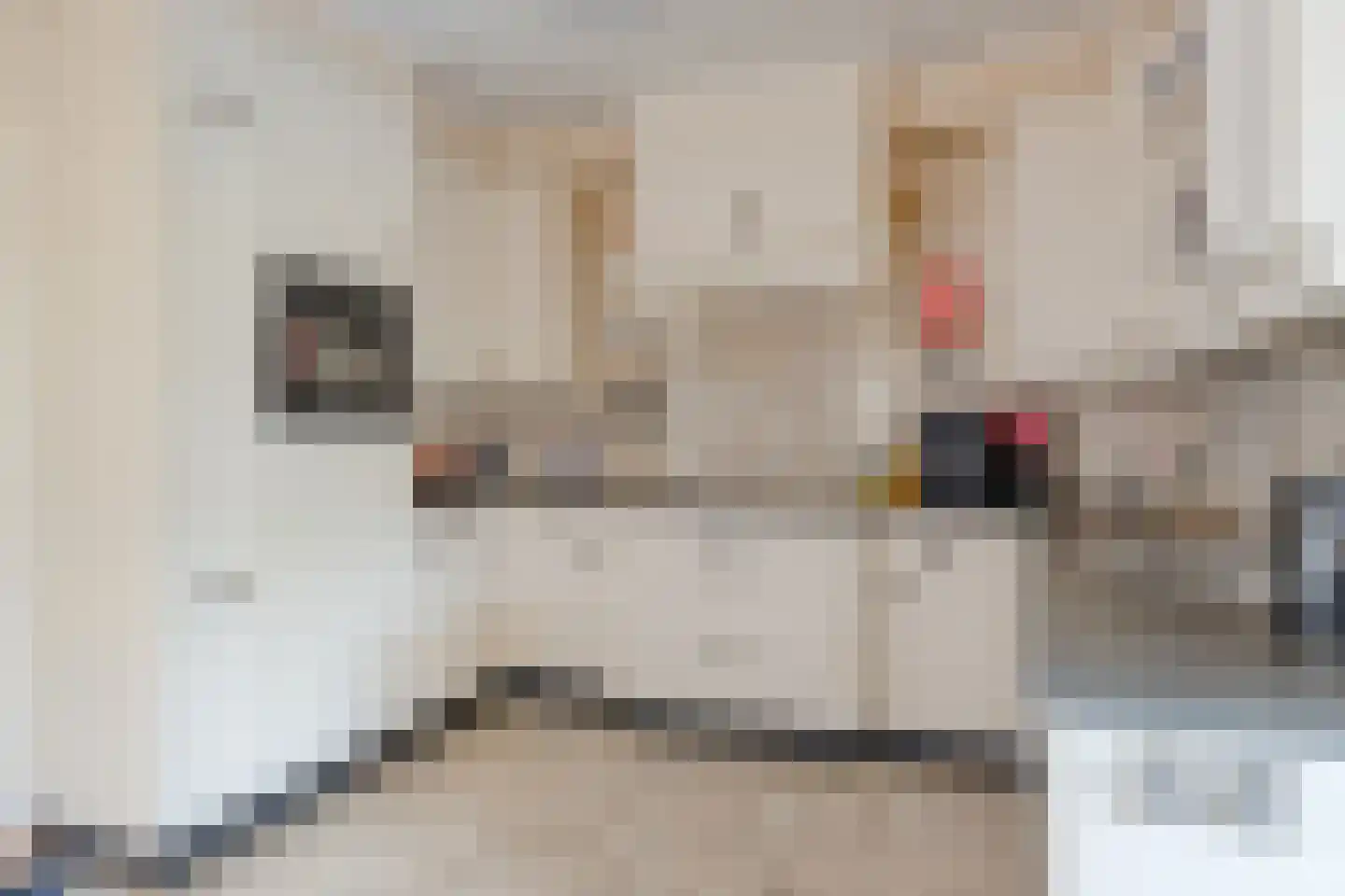 Rijnstraat 18 Dongen thumbnail 5