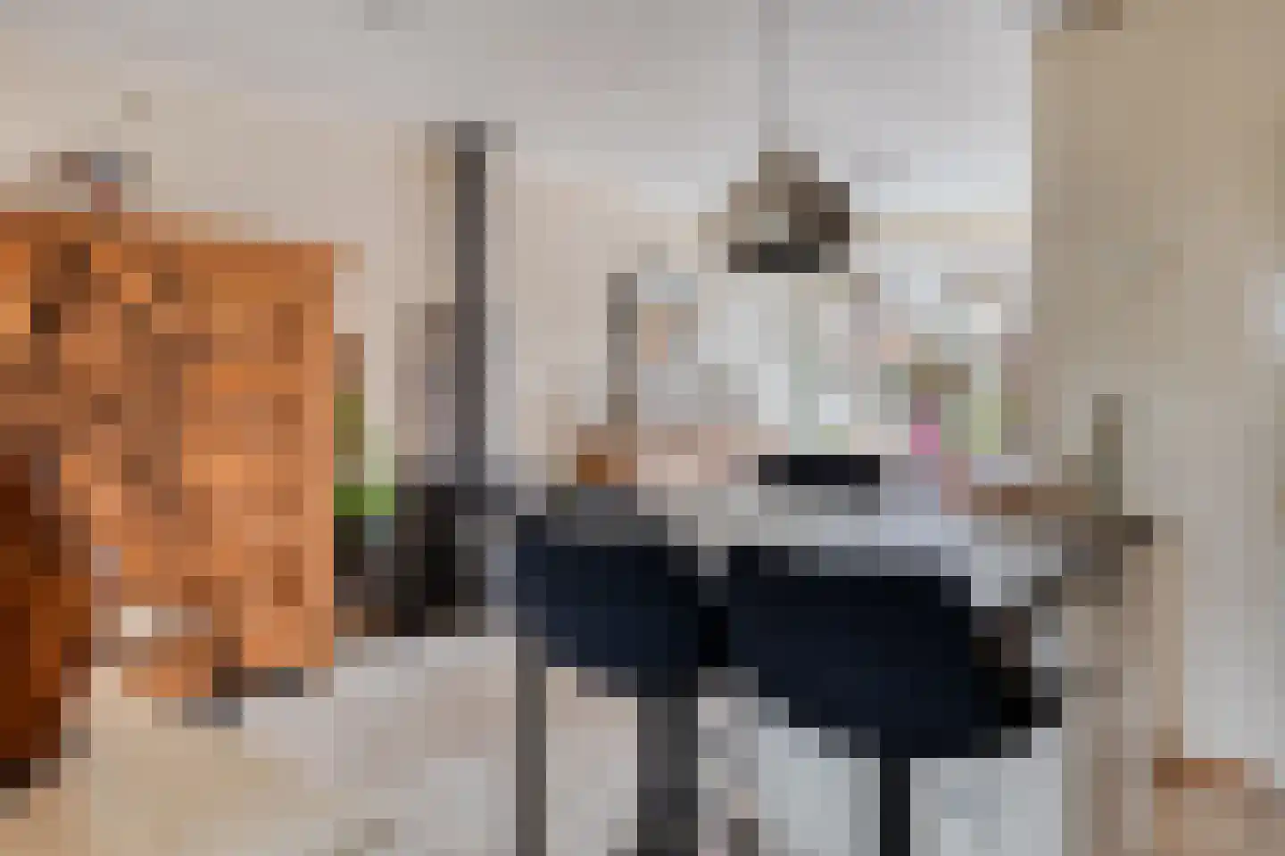 Rijnstraat 18 Dongen thumbnail 7